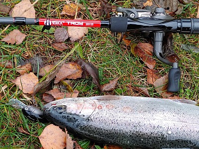 Ich bleibe Troy - Zeck-fishing.com